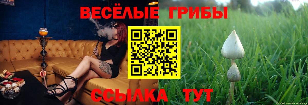 Псилоцибиновые грибы GOLDEN TEACHER  Вход с VPN  Волхов 