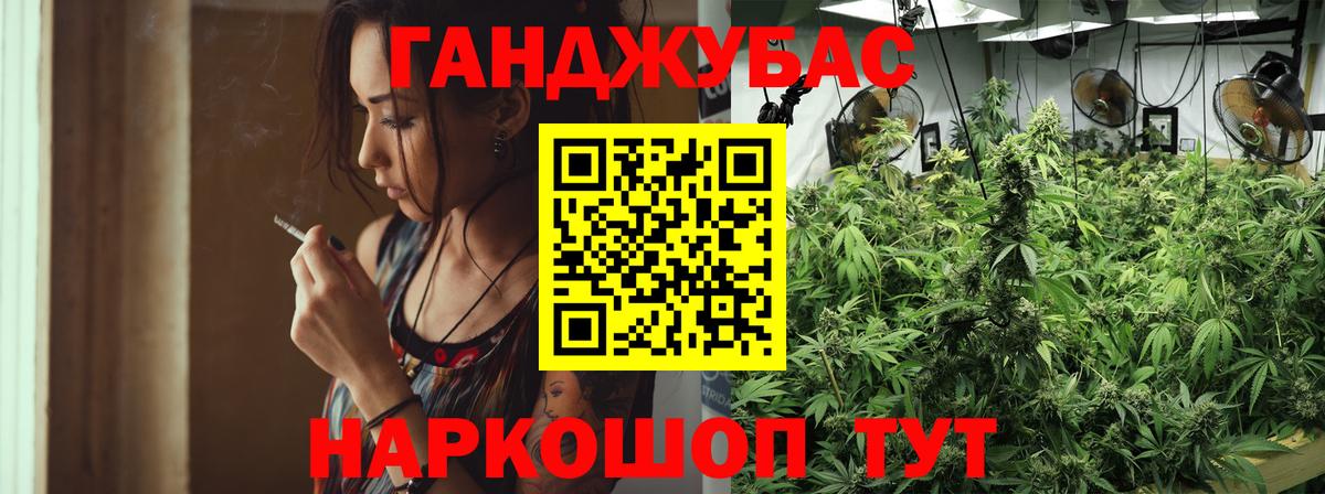 Волхов  Канабис SATIVA & INDICA  Вход с VPN  Шишки марихуана конопля  Конопля ГИДРОПОН 