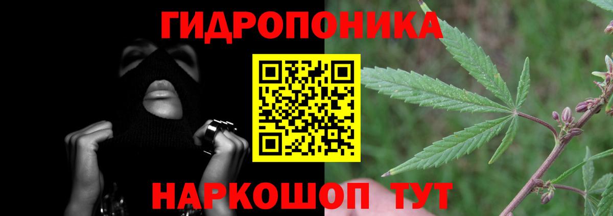 Конопля марихуана Волхов